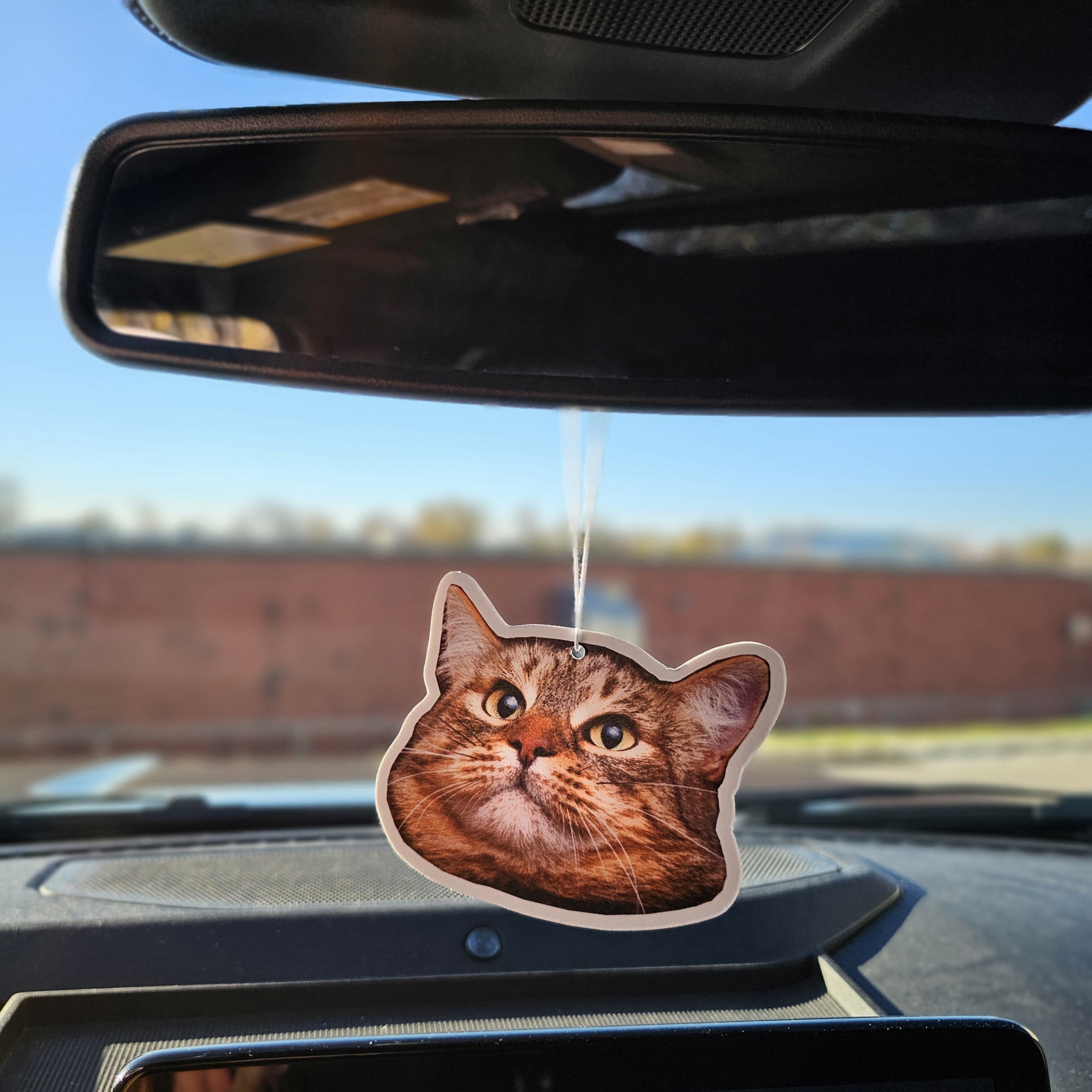 Custom Air Freshener