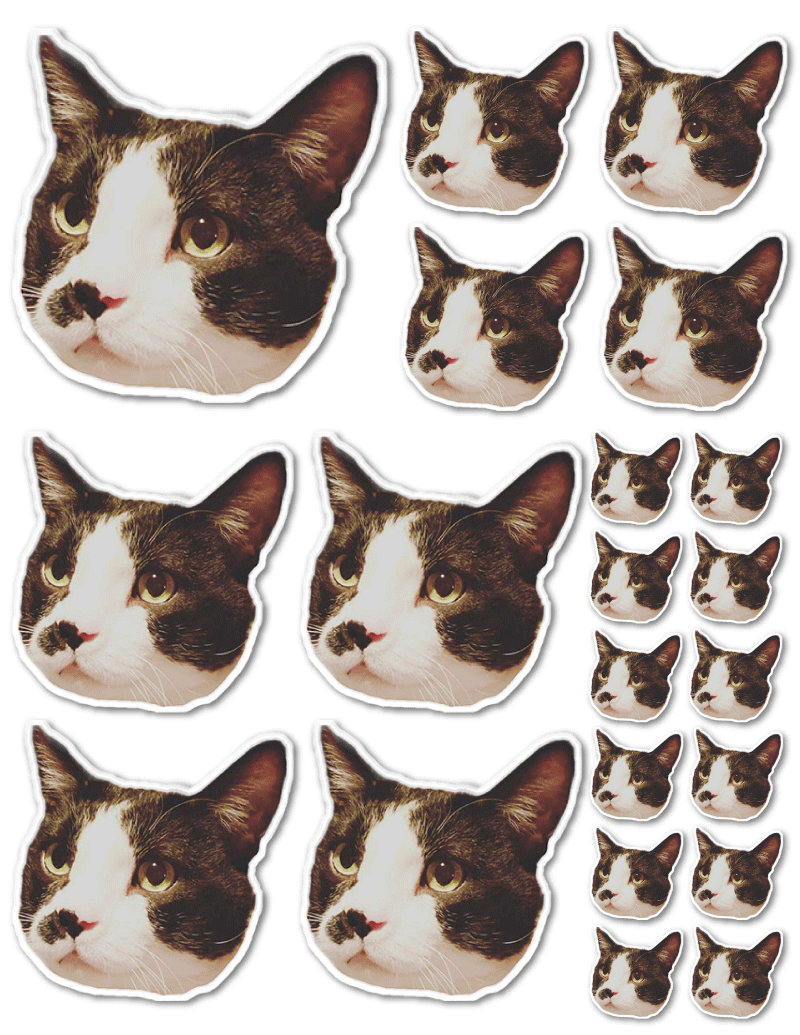 Sticker Sheet